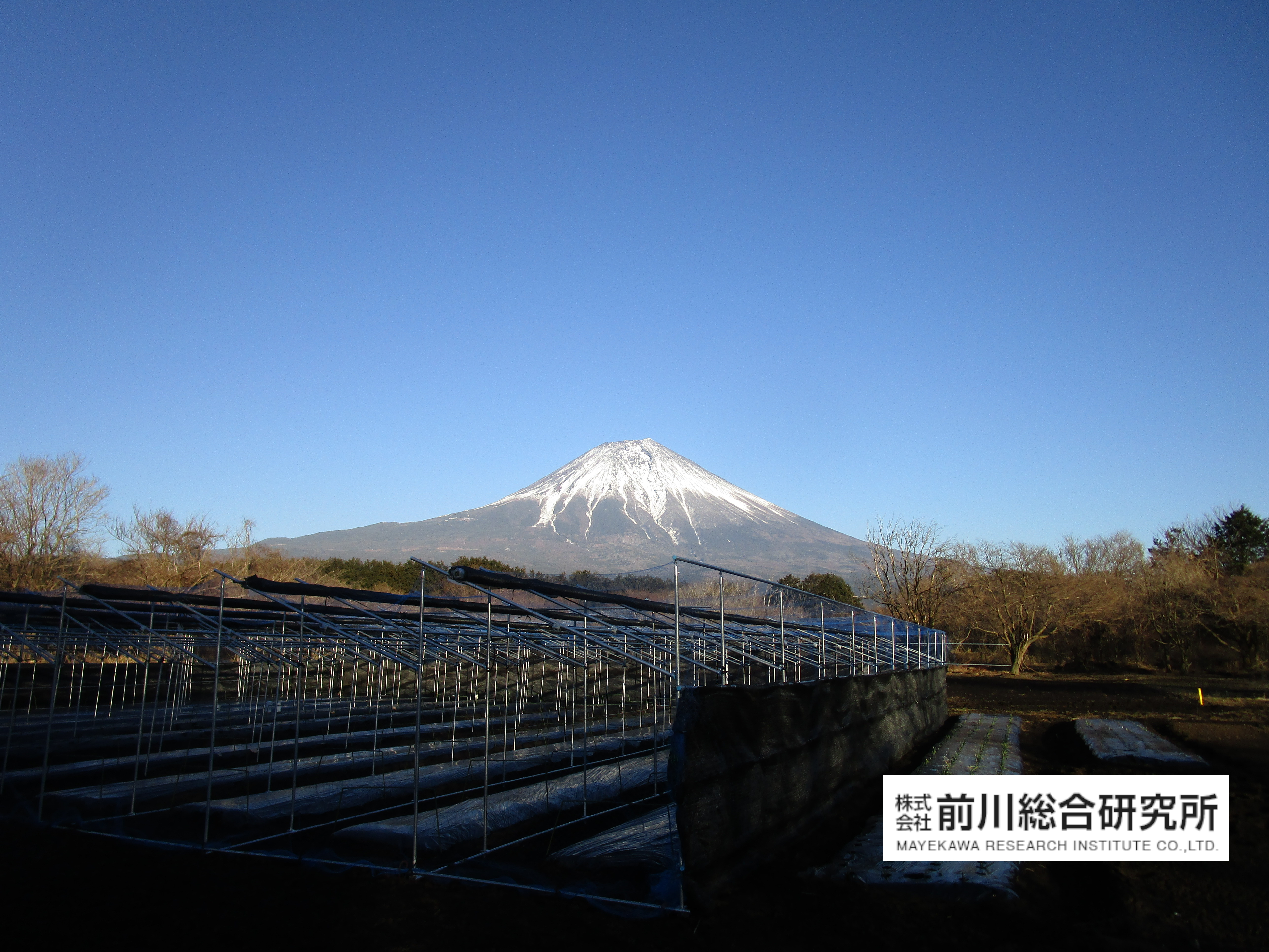 富士山とニンジン小屋とご挨拶